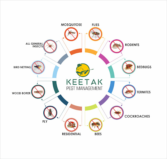 Keetak – Pest Control for Residential & Commercial, Best Pest Control Service in Ahmedabad, Gujarat