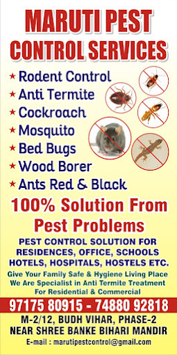 Maruti – Pest Control for Residential & Commercial, Best Pest Control Service in New Delhi, Delhi