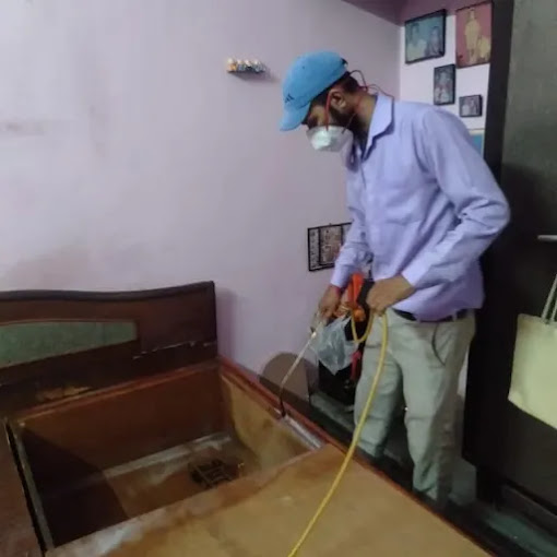 Sudiksha – Pest Control for Residential & Commercial, Best Pest Control Service in Faridabad, Haryana